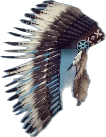 Plumas azul