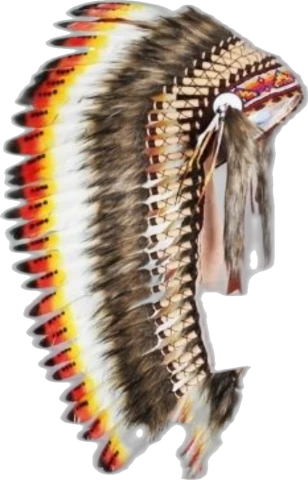 Plumas fuego