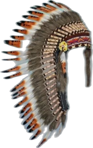Plumas naranja