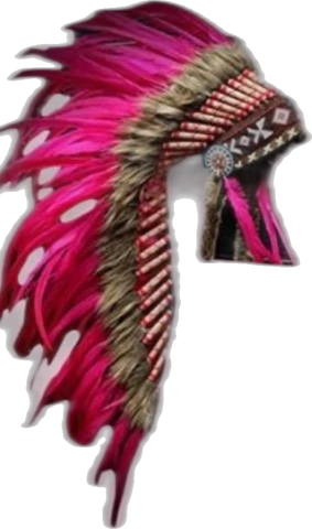 Plumas rosa